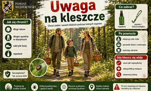 Zdjęcie do Uwaga na kleszcze &ndash; końc&oacute;wka lata sprzyja ich aktywności